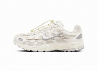 Nike P-6000 Premium „Light Bone“ Nike P-6000 Premium Light Bone Beitrag (1100 × 785 px)