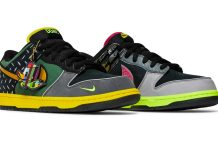 Ducks of a Feather x Nike Dunk Low „What The Ducks“ Home