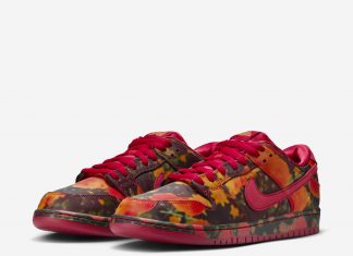The Wizard of OZ x Nike SB Dunk Low „Ruby Slipper“ wizard-of-oz-x-nike-sb-dunk-low-pro-fz1291-600-release-date-7