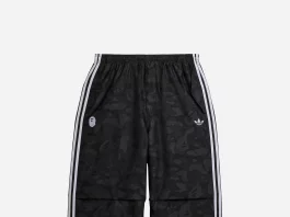 BAPE x Adidas Pants „Grey“